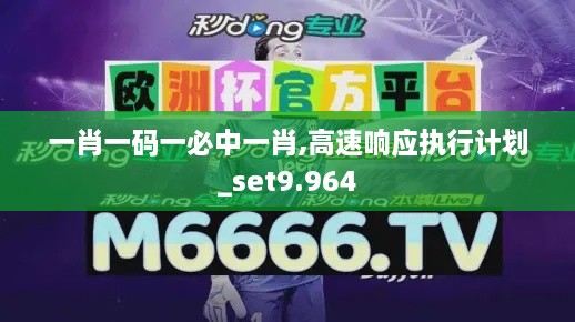 一肖一码一必中一肖,高速响应执行计划_set9.964