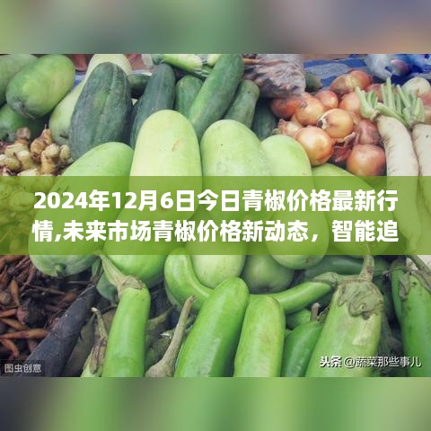 青椒市场最新行情动态，智能追踪系统引领未来市场新纪元
