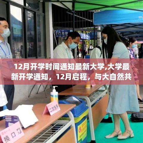 大学最新开学通知，12月启程，探索内心平和之旅，与大自然共舞的季节