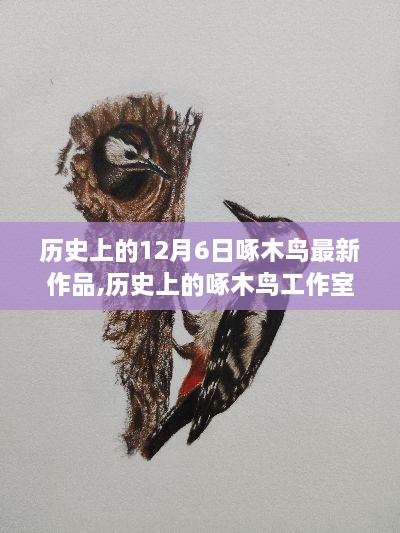 探寻啄木鸟工作室十二月六日最新作品背后的故事与历史揭秘