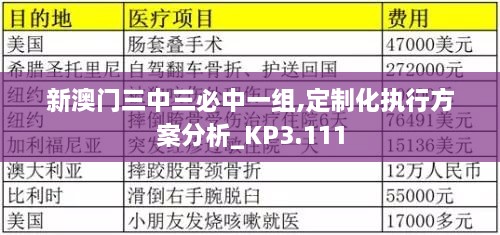 新澳门三中三必中一组,定制化执行方案分析_KP3.111