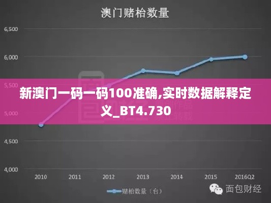 新澳门一码一码100准确,实时数据解释定义_BT4.730