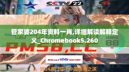 管家婆204年资料一肖,详细解读解释定义_Chromebook5.260