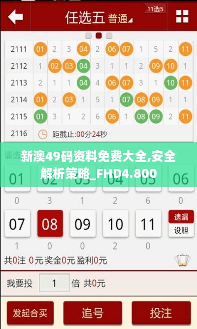 danpiaoloushi 第9页