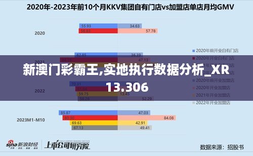 新澳门彩霸王,实地执行数据分析_XR13.306