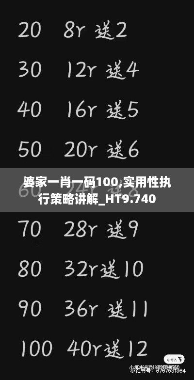 婆家一肖一码100,实用性执行策略讲解_HT9.740