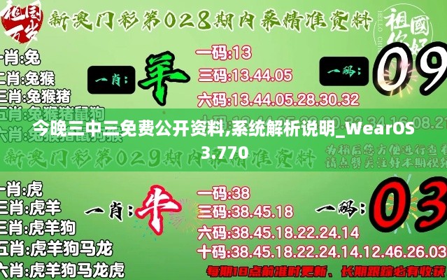 今晚三中三免费公开资料,系统解析说明_WearOS3.770