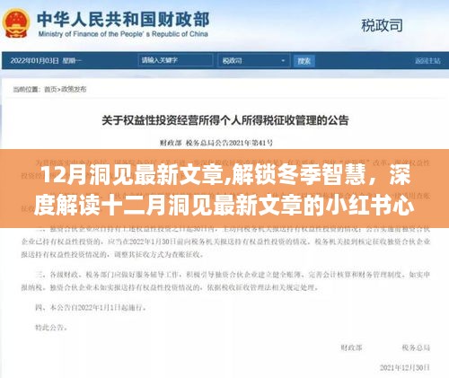 深度解读十二月最新洞见，解锁冬季智慧，小红书心得分享