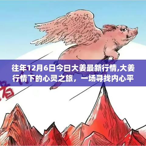 大姜行情下的心灵之旅，探寻内心平静的奇妙探险之旅