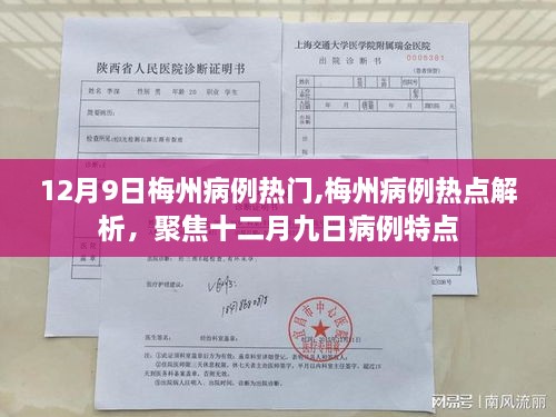 聚焦梅州病例热点解析，十二月九日病例特点分析