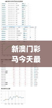 新澳门彩马今天最快最新图库,统计分析解释定义_3K6.944