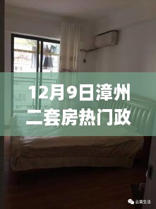 揭秘漳州二套房政策背后的故事与小巷深处的特色小店探秘之旅