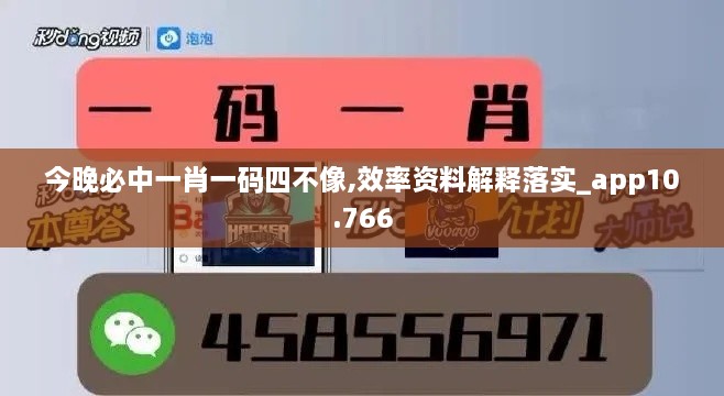 今晚必中一肖一码四不像,效率资料解释落实_app10.766