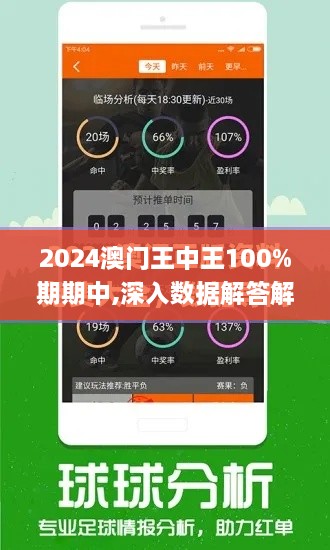 2024澳门王中王100%期期中,深入数据解答解释落实_限定版6.446