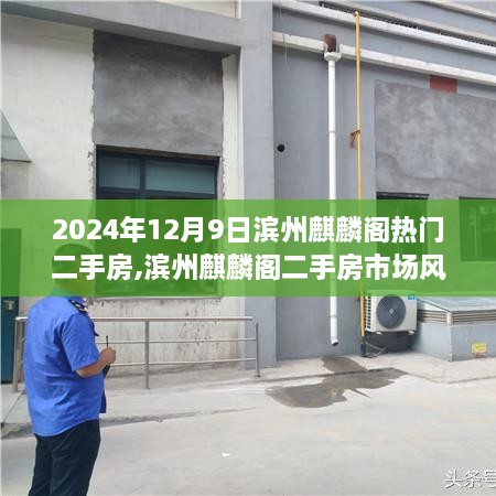 滨州麒麟阁二手房市场风云录，繁荣与变迁的见证——2024年12月9日市场纪实