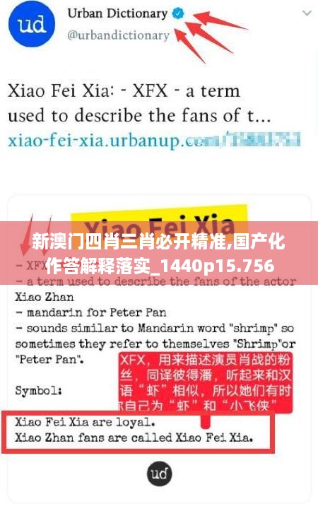 xingchixiyong 第8页