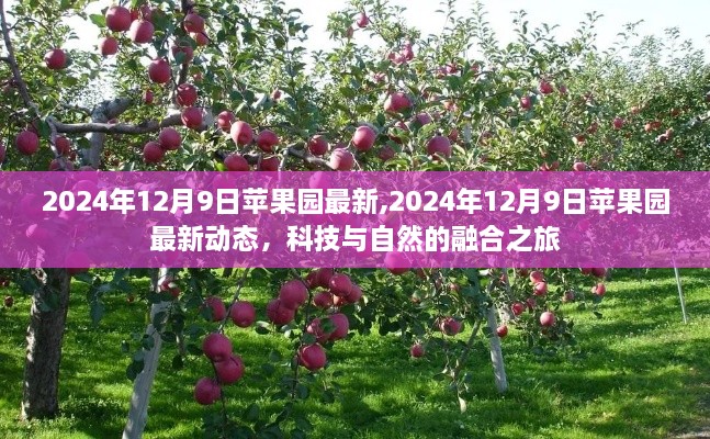 xiqiyangyang 第8页