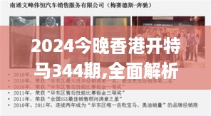 2024今晚香港开特马344期,全面解析与深度体验_专业版1.362