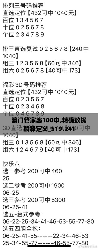 澳门管家婆100中,精确数据解释定义_S19.241