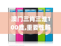 澳门三肖三淮100淮,重要性解析方法_苹果版4.118