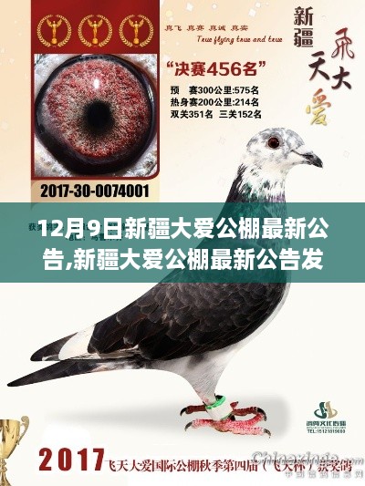 新疆大爱公棚最新公告揭秘，背景、事件与深远影响影响分析（附日期）