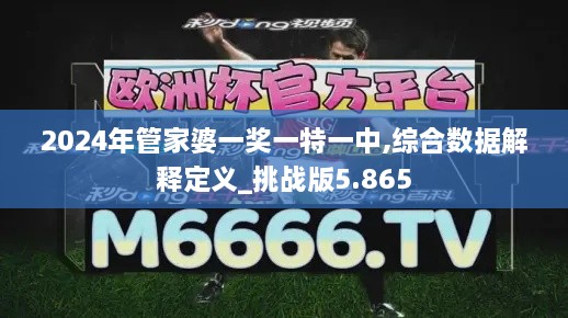 2024年管家婆一奖一特一中,综合数据解释定义_挑战版5.865