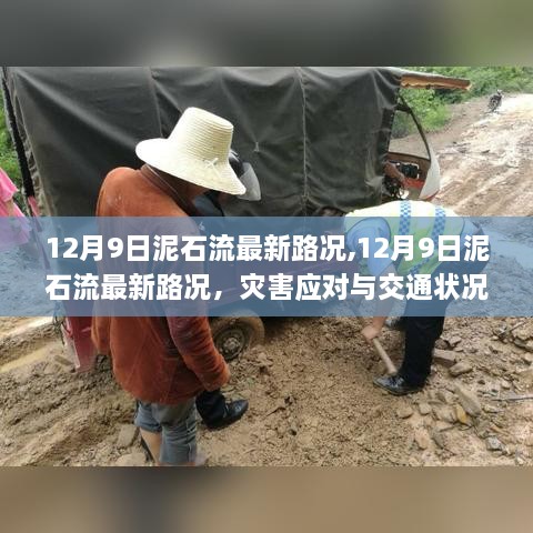 12月9日泥石流最新路况及灾害应对与交通状况分析
