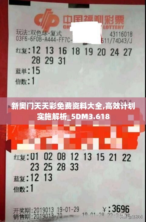 新奥门天天彩免费资料大全,高效计划实施解析_5DM3.618