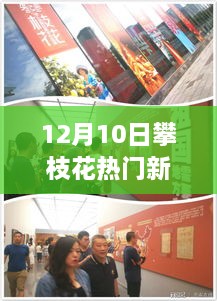 12月10日攀枝花新闻网热点指南，轻松掌握新闻动态的使用指南