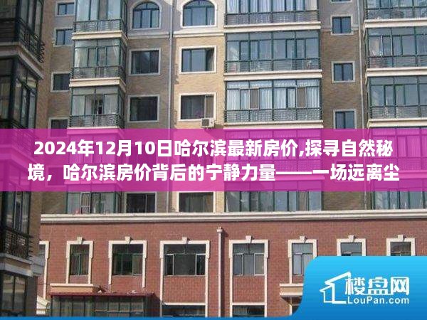 zhangzhangququ 第8页