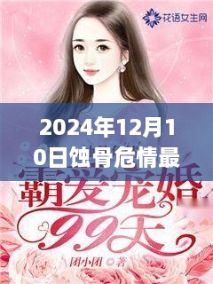 蚀骨危情深度解析，最新章节探秘与深度解读（2024年12月10日）