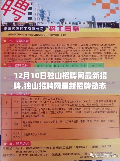 独山招聘网最新招聘动态及热点职位与行业趋势（12月10日更新）