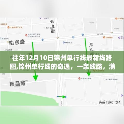 锦州单行线奇遇，温情陪伴的日常故事与最新线路图揭秘