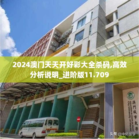2024澳门天天开好彩大全杀码,高效分析说明_进阶版11.709