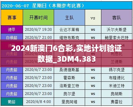 2024新澳门6合彩,实地计划验证数据_3DM4.383
