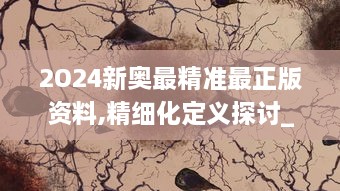 2O24新奥最精准最正版资料,精细化定义探讨_桌面款17.216