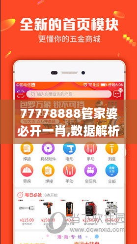 77778888管家婆必开一肖,数据解析支持方案_Notebook3.728