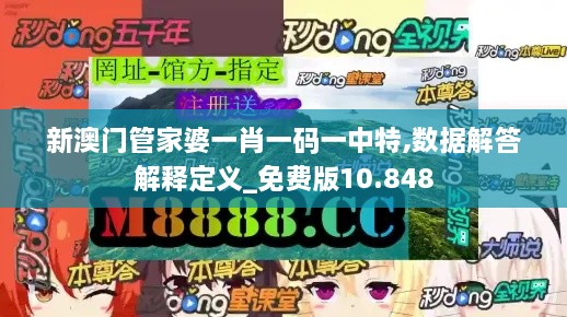新澳门管家婆一肖一码一中特,数据解答解释定义_免费版10.848