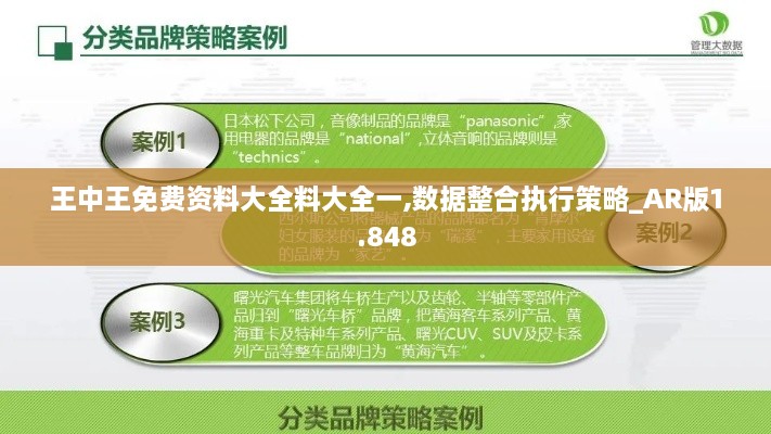 王中王免费资料大全料大全一,数据整合执行策略_AR版1.848