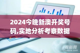 2024今晚新澳开奖号码,实地分析考察数据_XR8.937