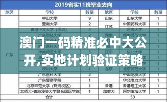 澳门一码精准必中大公开,实地计划验证策略_DP8.844
