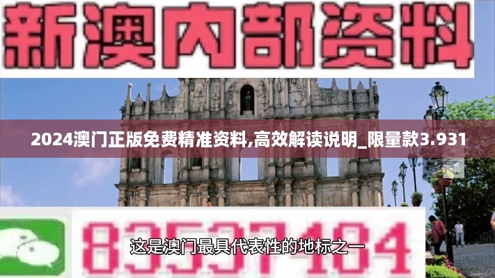 2024澳门正版免费精准资料,高效解读说明_限量款3.931