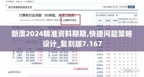 新澳2024精准资料期期,快捷问题策略设计_复刻版7.167