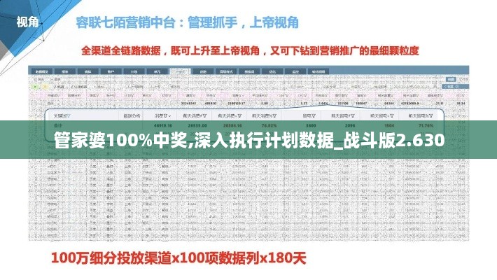 管家婆100%中奖,深入执行计划数据_战斗版2.630