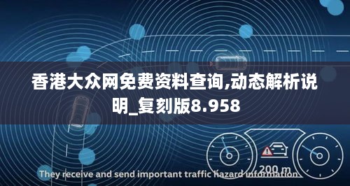 香港大众网免费资料查询,动态解析说明_复刻版8.958
