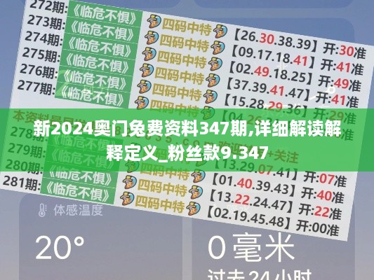 新2024奥门兔费资料347期,详细解读解释定义_粉丝款9.347