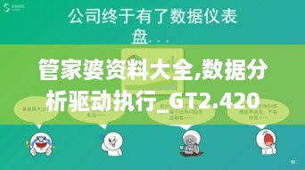 管家婆资料大全,数据分析驱动执行_GT2.420