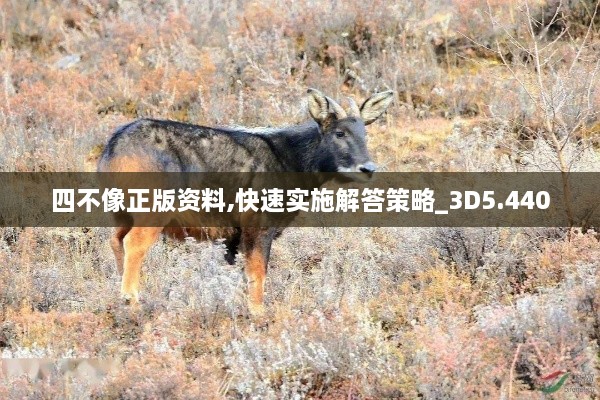 zhilituizhang 第6页