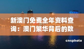 新澳门免费全年资料查询：澳门繁华背后的数据洞察