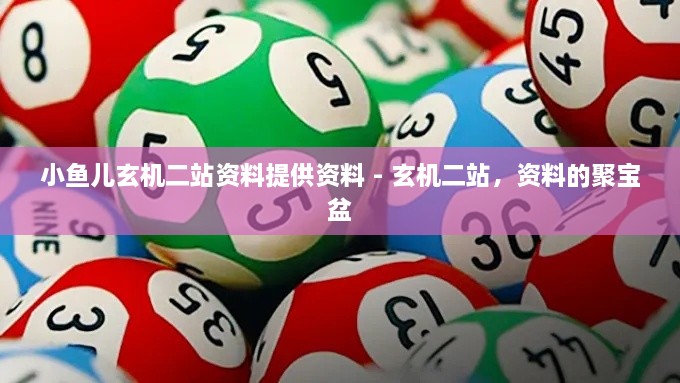 小鱼儿玄机二站资料提供资料 - 玄机二站，资料的聚宝盆